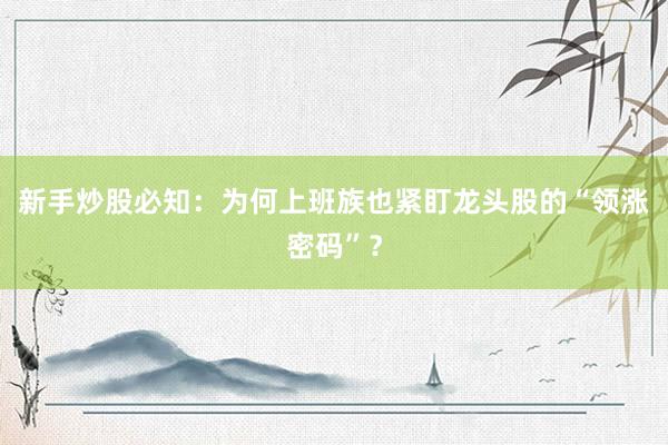 新手炒股必知:为何上班族也紧盯龙头股的“领涨密码”?