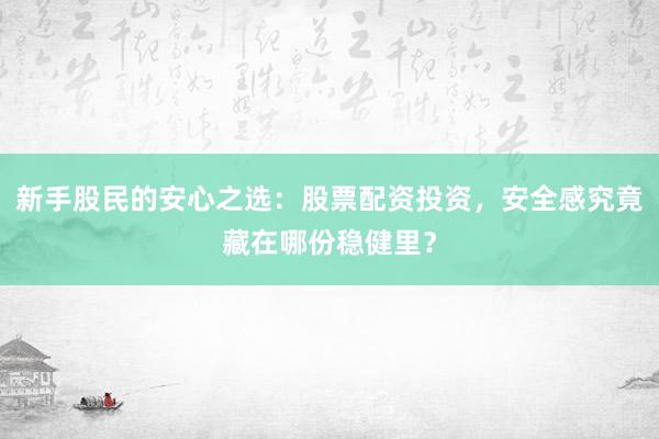 新手股民的安心之选:股票配资投资,安全感究竟藏在哪份稳健里?