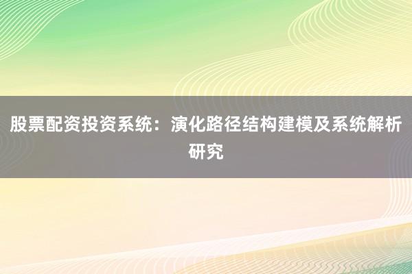 股票配资投资系统：演化路径结构建模及系统解析研究