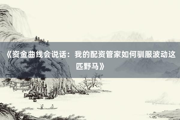 《资金曲线会说话：我的配资管家如何驯服波动这匹野马》