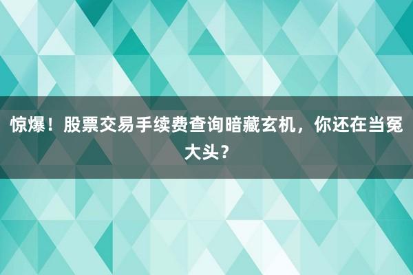惊爆！股票交易手续费查询暗藏玄机，你还在当冤大头？
