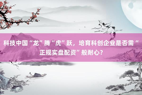 科技中国“龙”腾“虎”跃，培育科创企业是否需“正规实盘配资”般耐心？