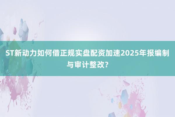 ST新动力如何借正规实盘配资加速2025年报编制与审计整改？