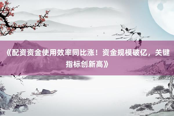 《配资资金使用效率同比涨！资金规模破亿，关键指标创新高》