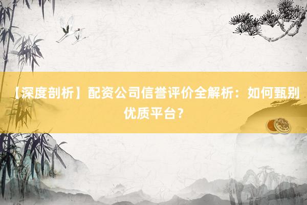 【深度剖析】配资公司信誉评价全解析：如何甄别优质平台？