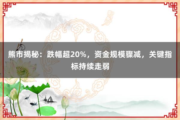 熊市揭秘：跌幅超20%，资金规模骤减，关键指标持续走弱