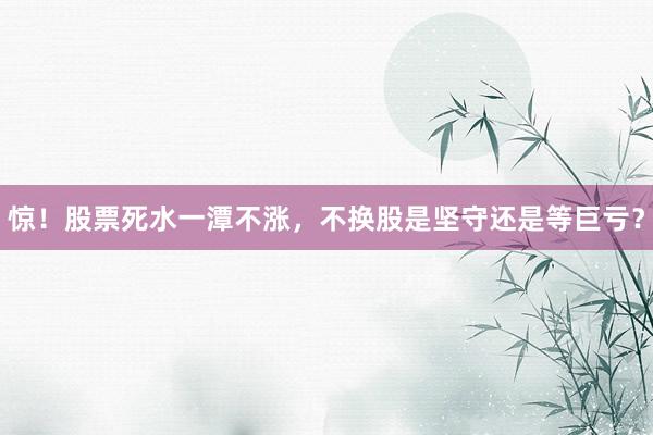 惊！股票死水一潭不涨，不换股是坚守还是等巨亏？